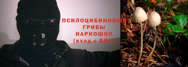 мдпв Абаза