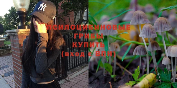 прущая мука Абинск